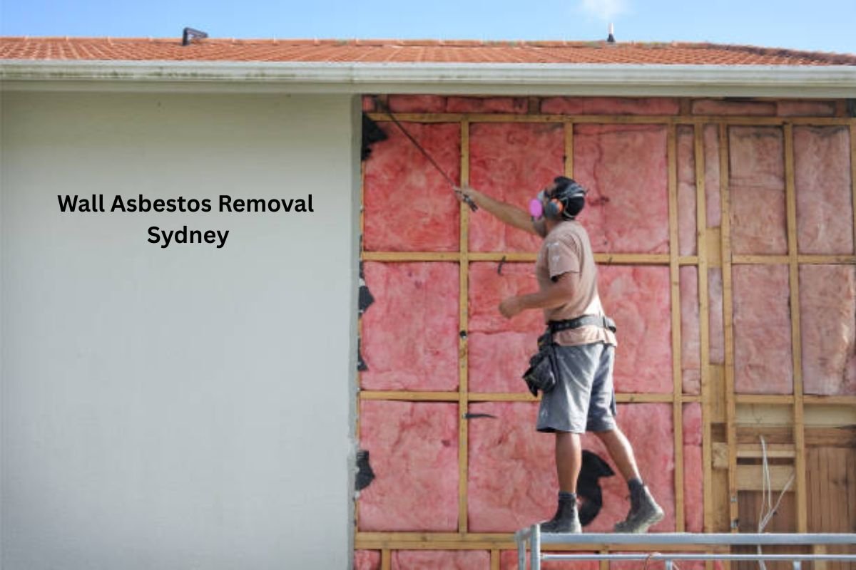 Wall Asbestos Removal Sydney