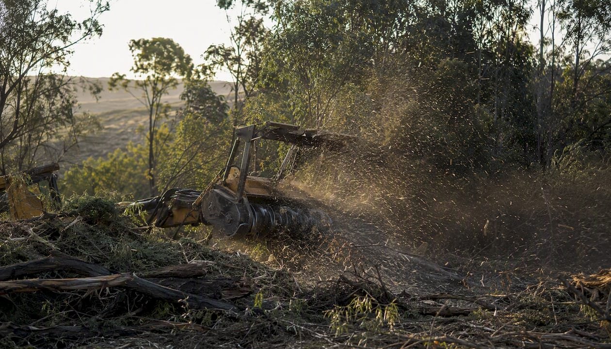 Forestry mulcher clearing brush