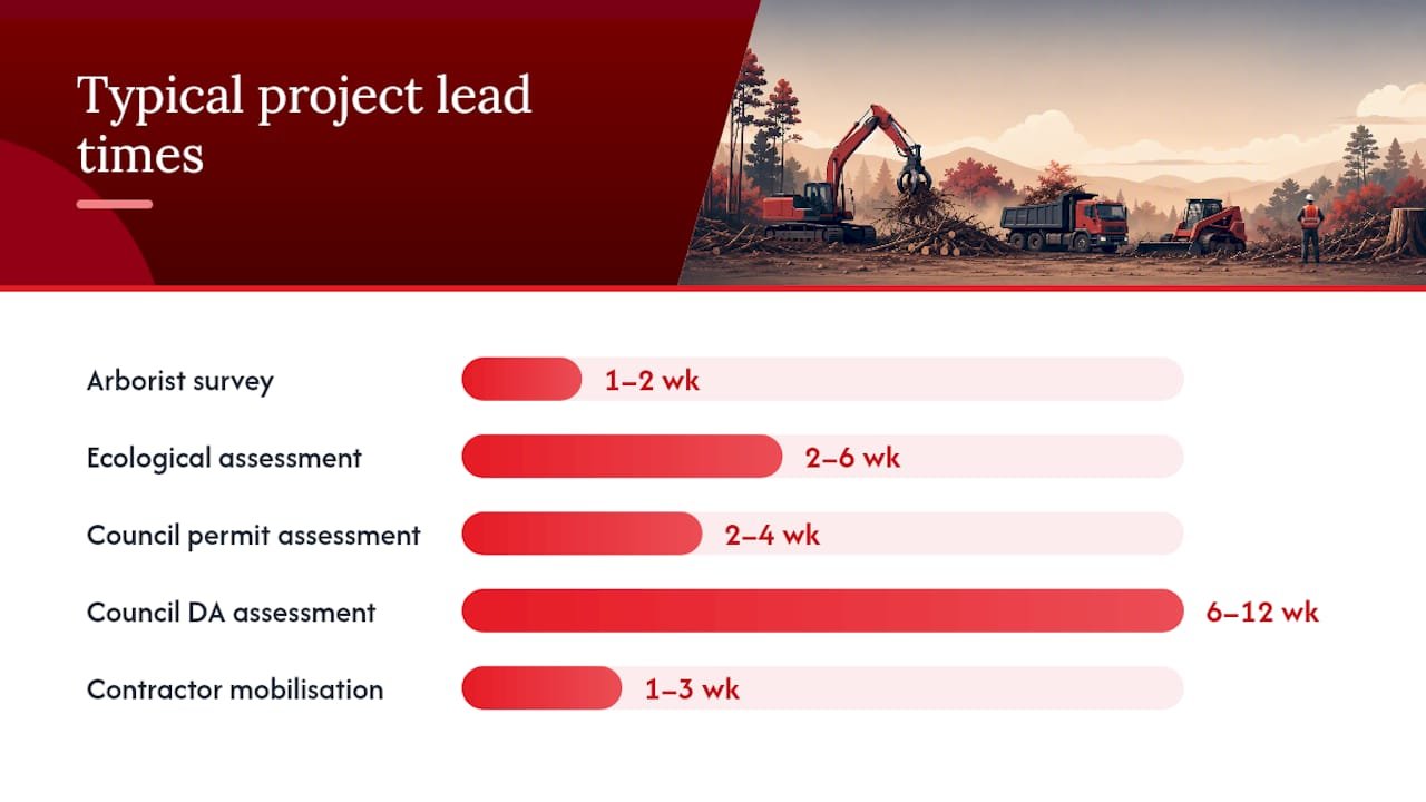 Timeline of tree removal project stages and durations