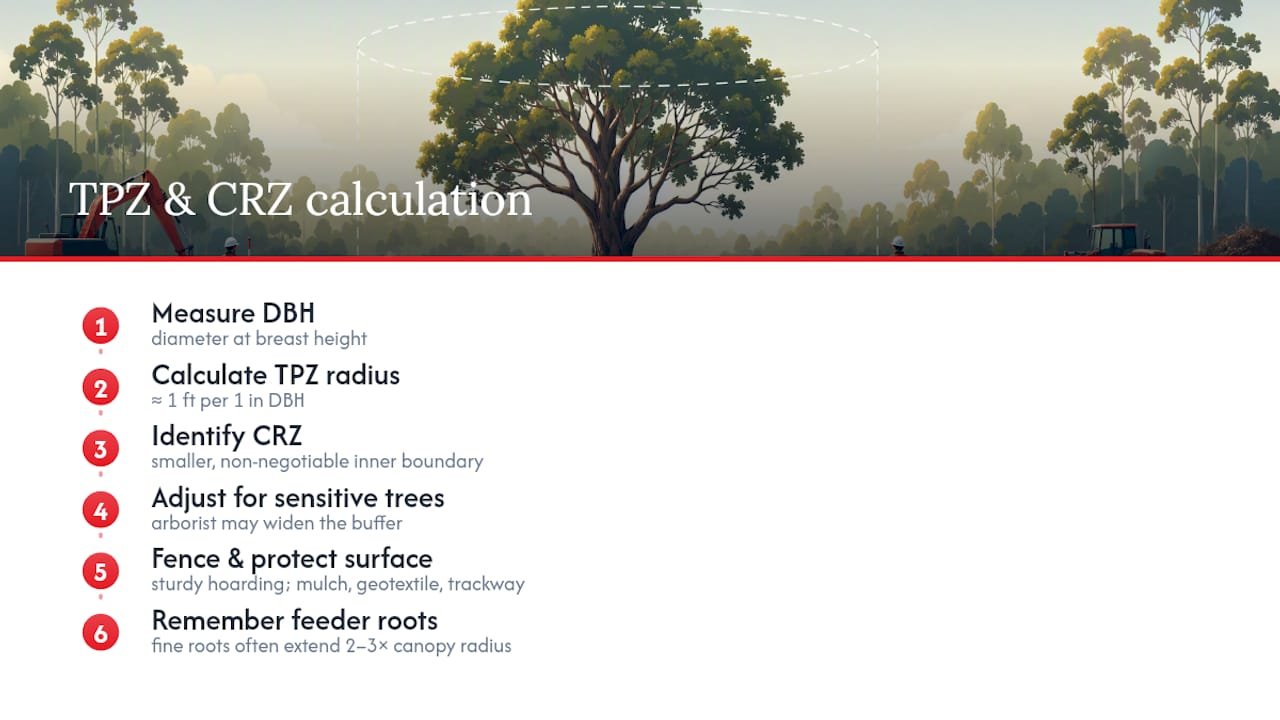 Diagram of Tree Protection Zone and Critical Root Zone calculations