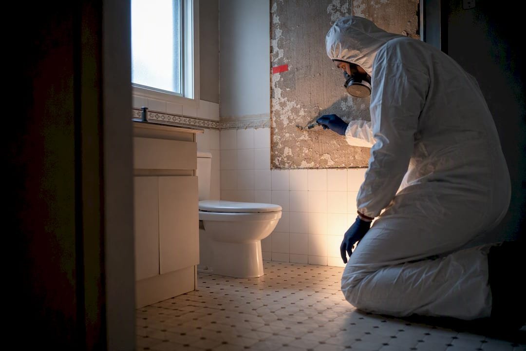 Assessor inspecting old bathroom wall lining