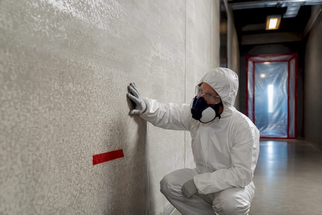 Assessor examining coated asbestos cement panel