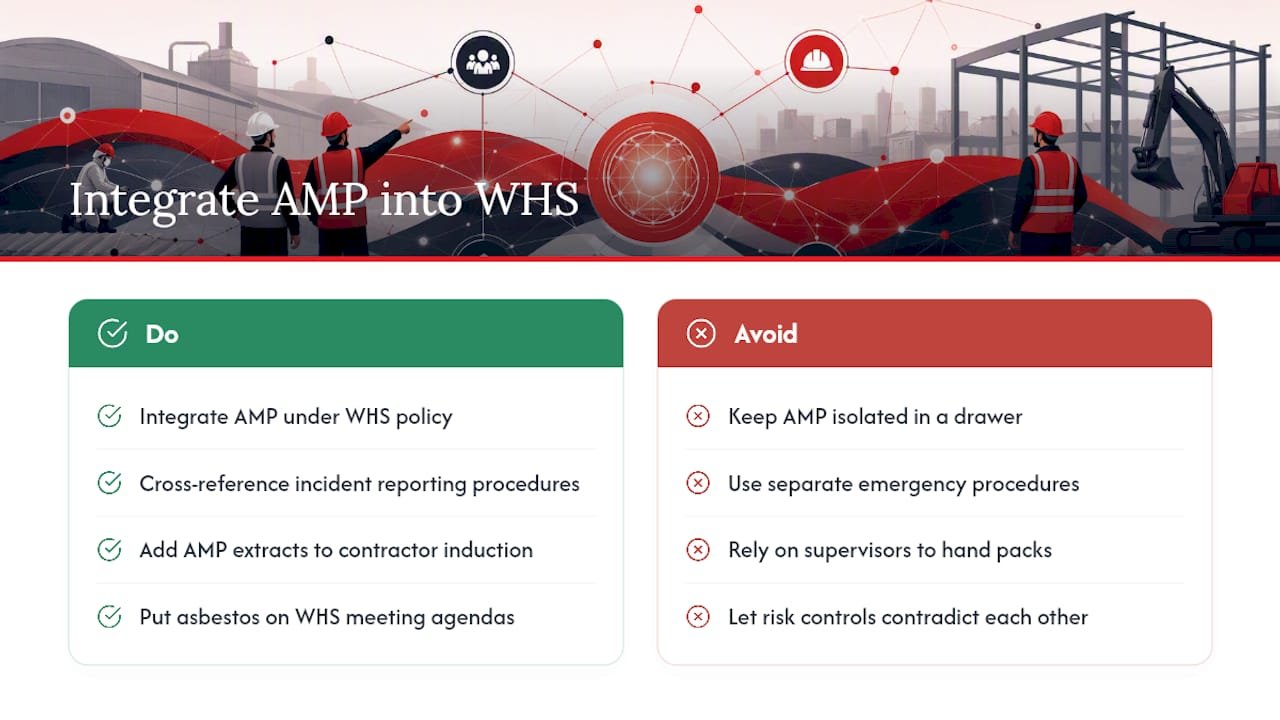 How does the AMP fit into a broader WHS policy? — overview diagram