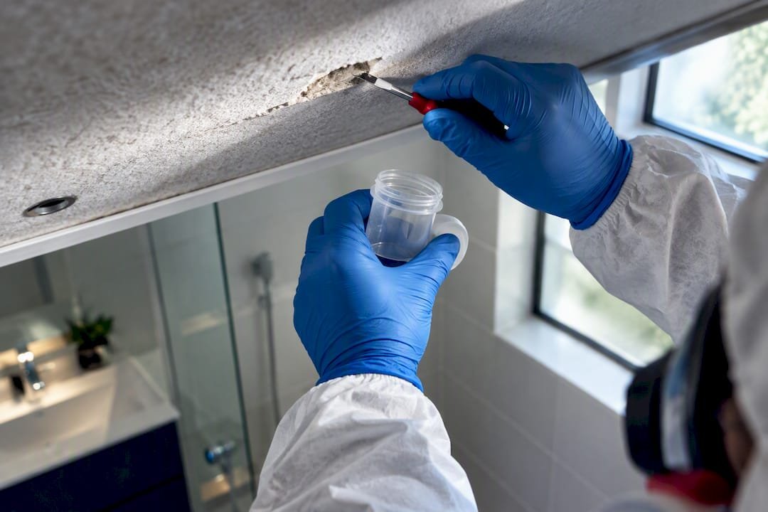 Assessor inspecting suspected asbestos ceiling lining