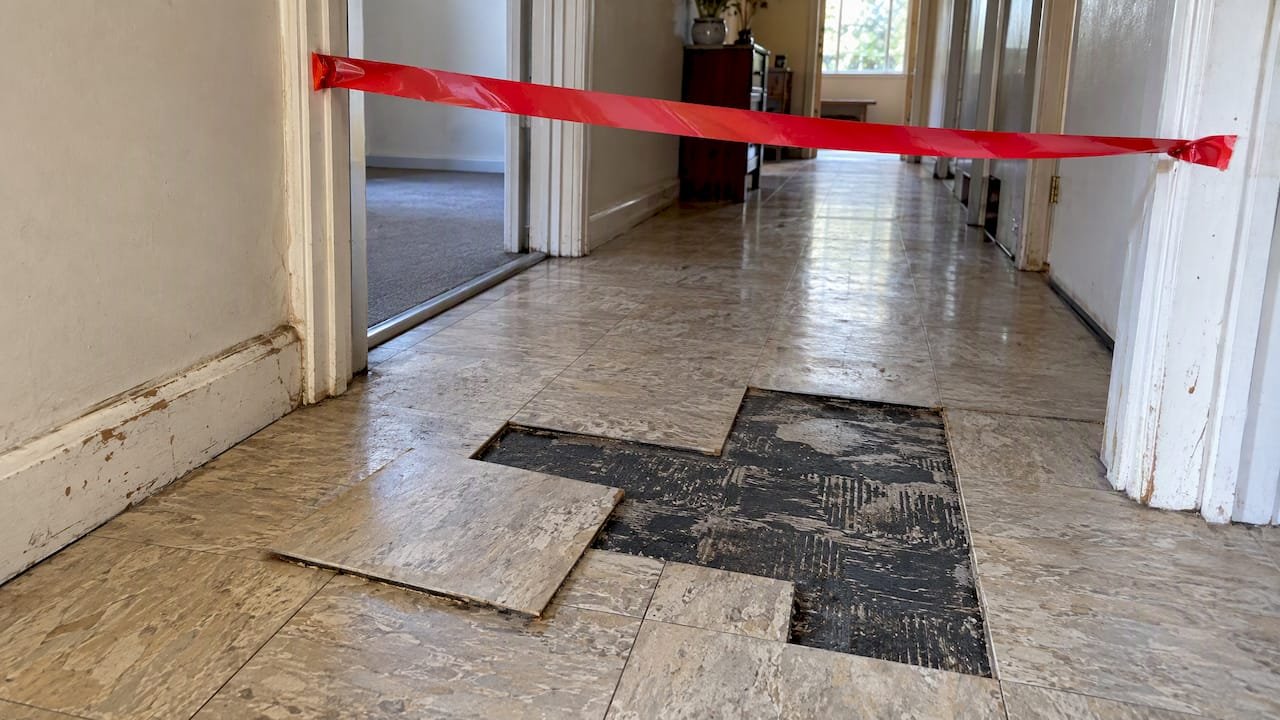 Disturbed dark adhesive beneath lifted floor tiles